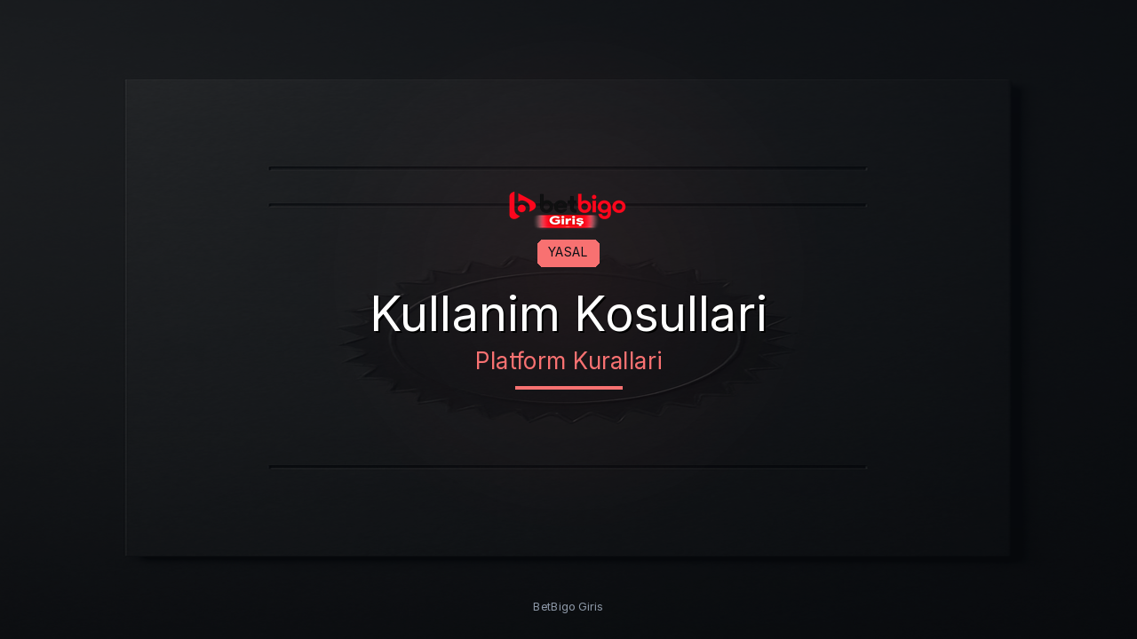 Kullanim Kosullari ve Sartlar